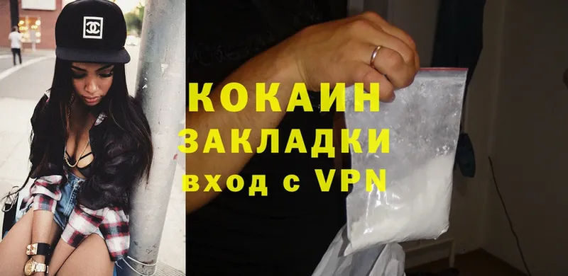 Cocaine FishScale  магазин продажи наркотиков  Ельня 